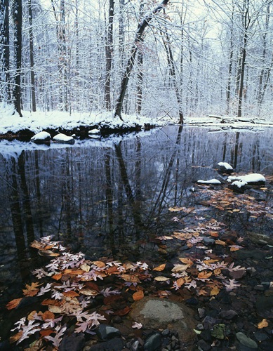 Rahway River Headwaters, South Mountain Reservation, Essex County, NJ (MF).jpg